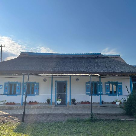 Casa Cu Stuf ムリギオル エクステリア 写真